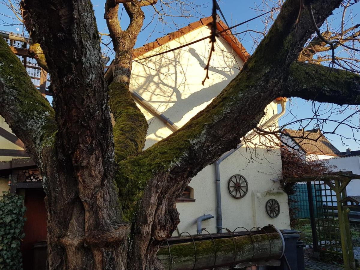 Ferienwohnung Zum-Alten-Kirschbaum Limburg an der Lahn Eksteriør billede