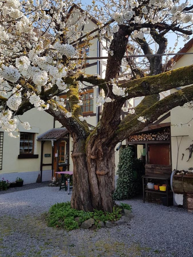 Ferienwohnung Zum-Alten-Kirschbaum Limburg an der Lahn Eksteriør billede