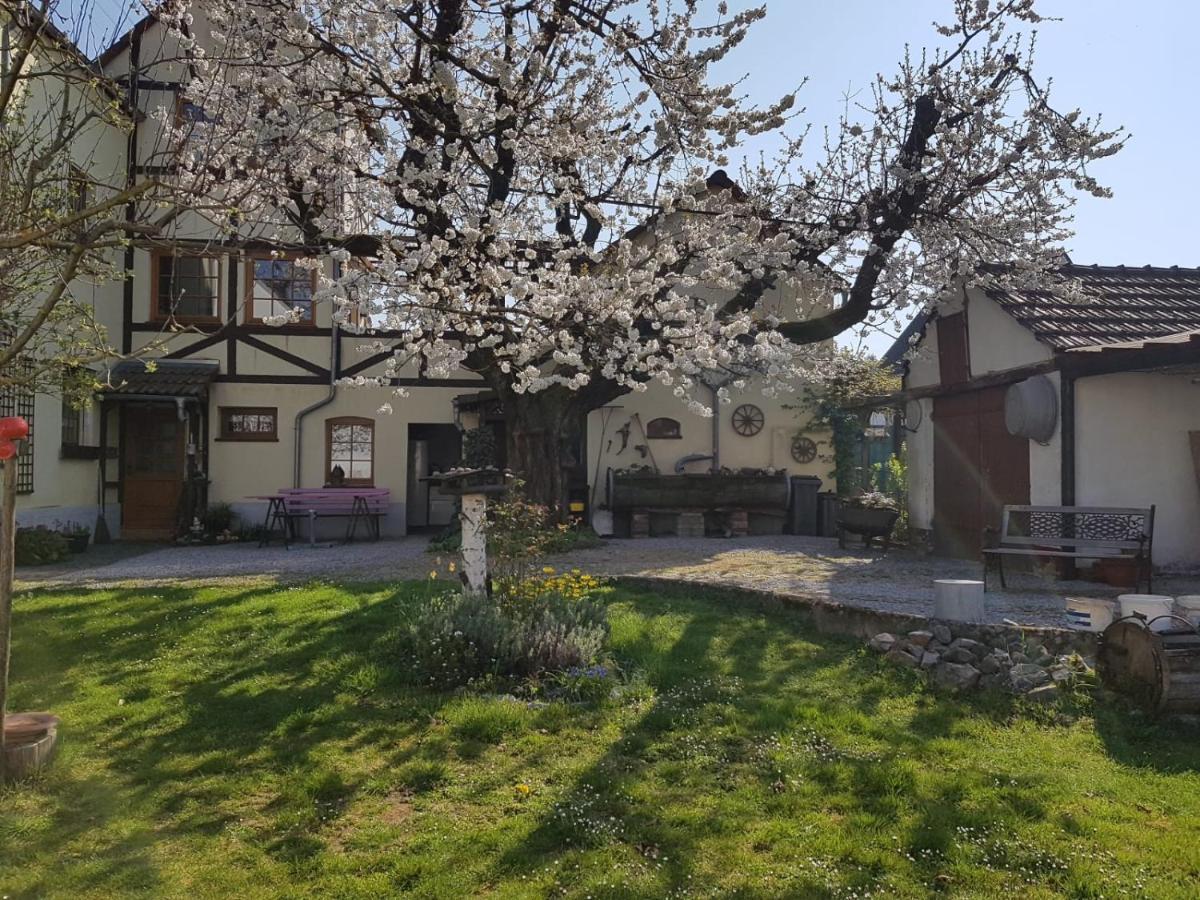 Ferienwohnung Zum-Alten-Kirschbaum Limburg an der Lahn Eksteriør billede